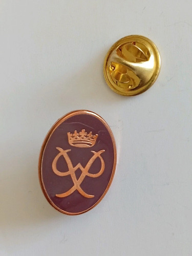 Duke edinburgh bronze award - duke,