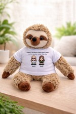 A 20cm Sloth Cute Teddy Comes