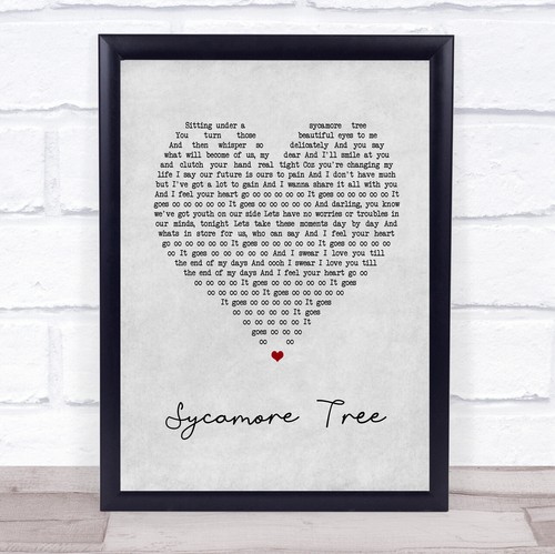 Sycamore tree grey - tree,