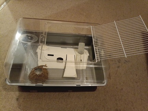 Medium guinea pig cage with - pig,
