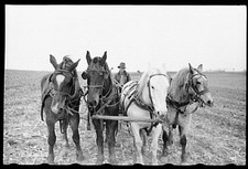 Photo:Grundy County, Iowa