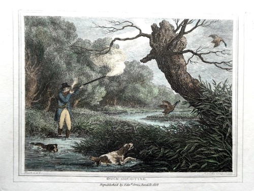 Duck shooting samuel - duck,