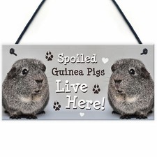 Spoiled Guinea Pigs Live Here Handmade Gift Sign For Guinea Pig Owners Pet Gift