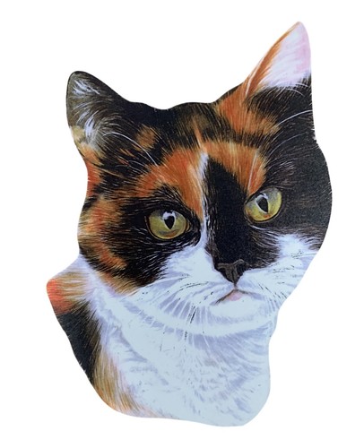 Tortoiseshell cat magnet - magnet,