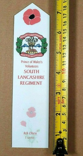 Prince wales volunteers - prince,
