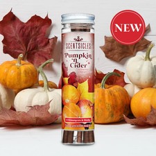 Scentsicles Scented Ornaments – Christmas Tree Sticks, Candles & Sprays