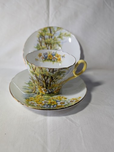 Shelley daffodil time - shelley, time'
