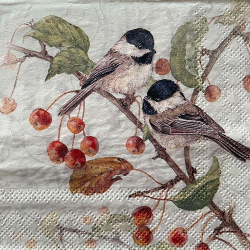 Cocktail paper napkins for - 2,