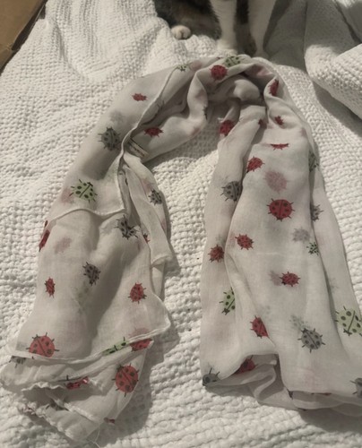 Ladybug scarf - ladybug,
