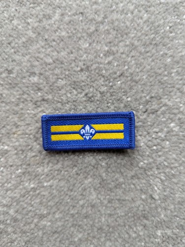 Patrol leader scout badge old - leader,