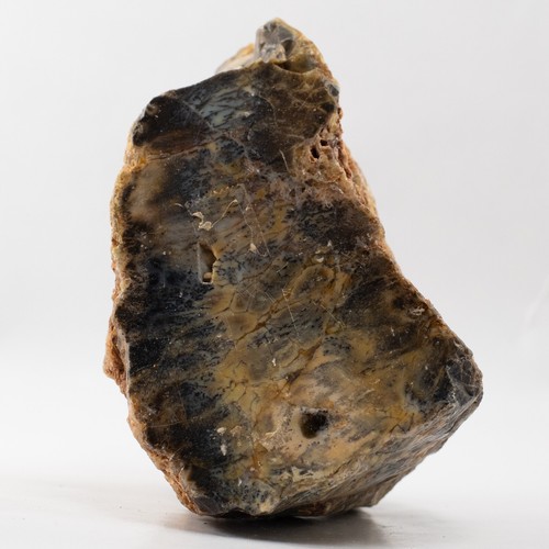 Dendritic opal 500g polished - opal, |