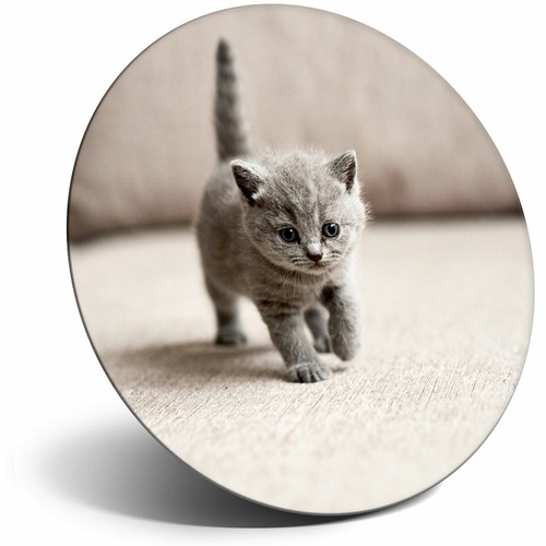 Awesome fridge magnet - magnet,