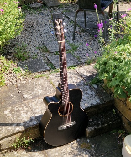 Blackbird tanglewood string - tanglewood, 6-string