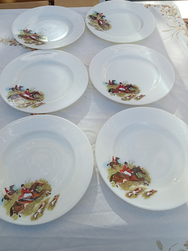 Jaj pyrex dinner plates - dinner,