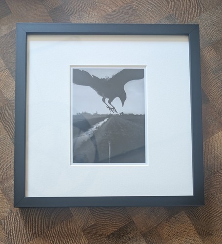 Stephen gill signed magnum - signed,