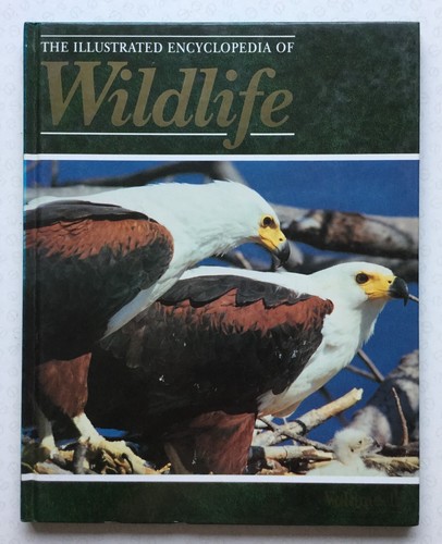 The illustrated encyclopedia - illustrated,