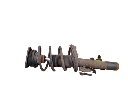 Ford focus strut shock - focus,