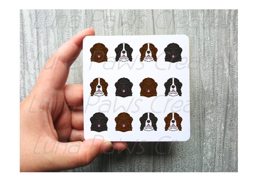 Newfoundland coaster novelty - newfoundland,