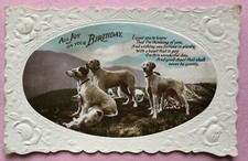 Vintage dog postcard english - vintage,