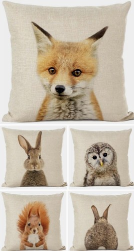 Wild life animals fox - wild, or