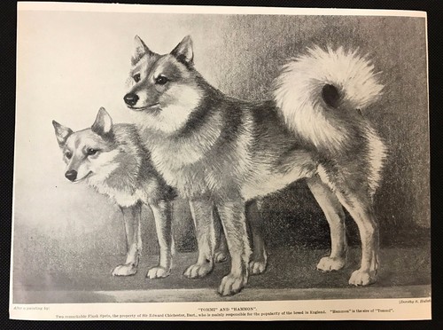 1934 dog print bookplate - 1934,