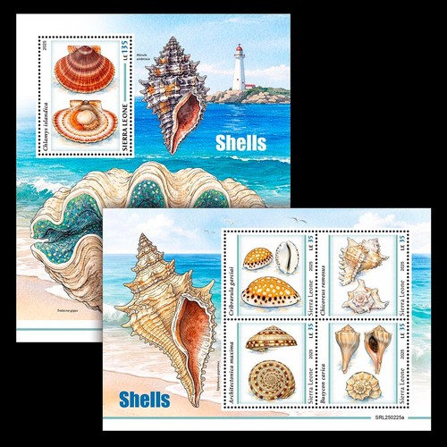 Shells mnh stamps 2025 - shells,