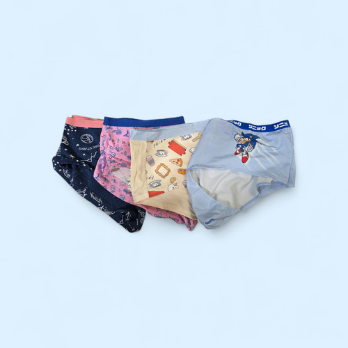 Pairs ladies brief knickers - 4,