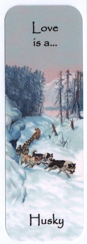 Siberian husky sled - siberian,