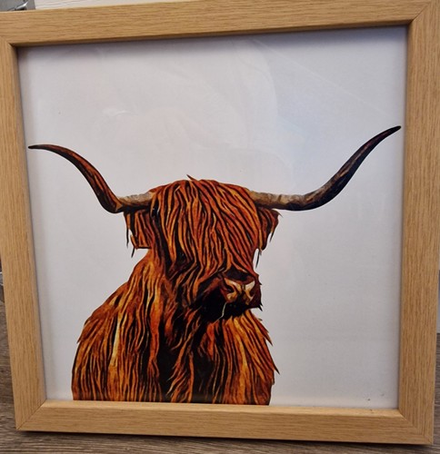 Highland cow framed wall - cow,