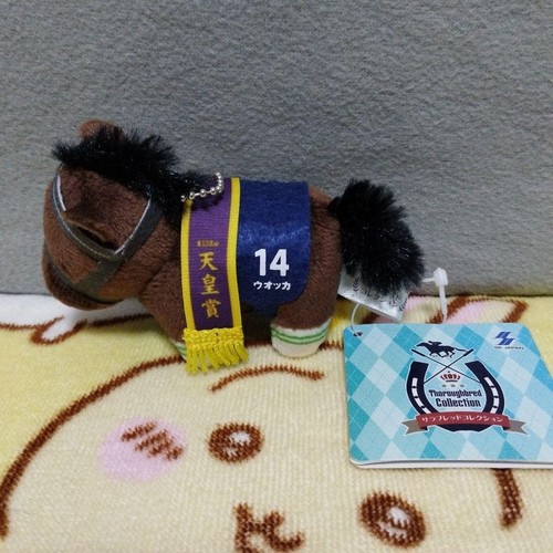 Thoroughbred collection petit - collection,