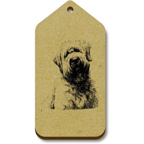 Soft coated wheaten - 'soft, terrier'