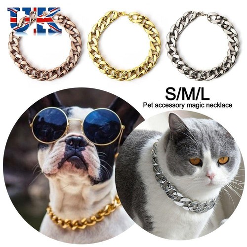 Chain collar pet necklace - pet,