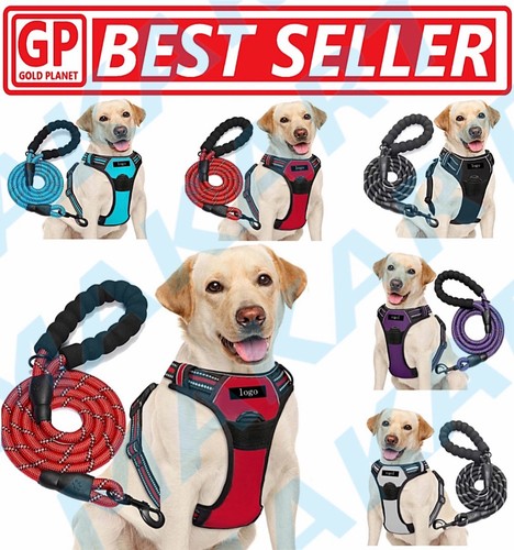 Dog harness training leash - harness, &