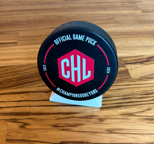 Sleek minimal ice - hockey, puck