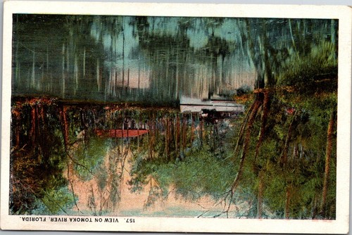 View tomoka river florida - on,