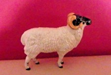 RARE BESWICK BORERAY SHEEP