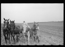 Plowing with four horses, Grundy County, Iowa 1940s Old Photo