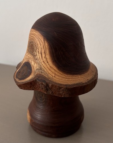Hand turned wooden mushroom - hand,