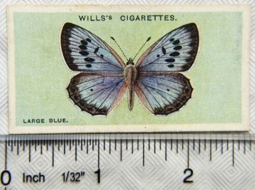 1927 wills british butterflies - wills,