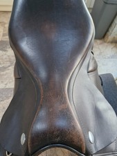 thorowgood t8 ajustable cob gp