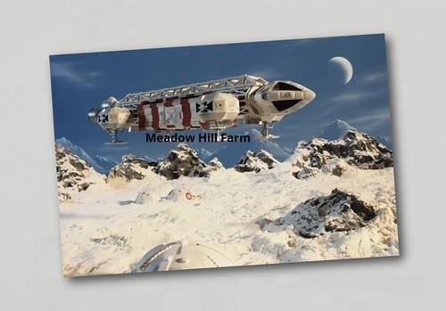 Fridge magnet space 1999 eagle - magnet,