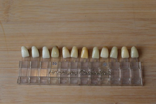 Vintage acrylic teeth - vintage, upper