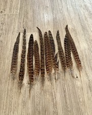 10x Natural Pheasant Tail Feathers Arts Crafts Hat Costume Wedding Fly 25-30cm