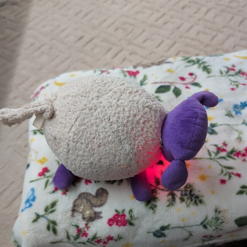 Ewan the dream sheep - ewan,