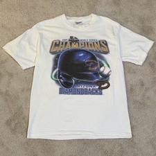 Vintage 2001 Arizona