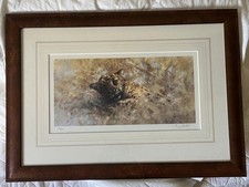 Tony Forrest Limited Edition Print Leopard Cub framed 