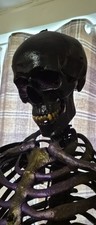 Gothic medical skeleton - gothic,