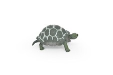 Tortoise Toy Model, Realistic
