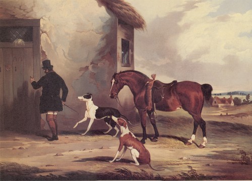 Greyhound coursing horse dog - coursing,