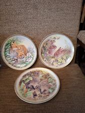 Royal Vale collectors plate joblot of 3